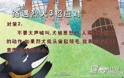 王中王493333特马王中王和7岁男孩遭3只犬撕咬与7岁男孩遭3只犬撕咬怎么办