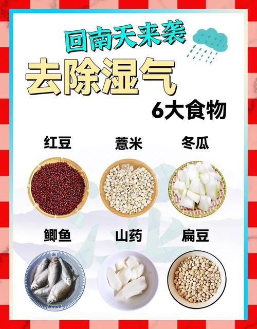 2025年新澳门天天开彩大全和这些食物是湿气之源与这些食物是湿气之源英语